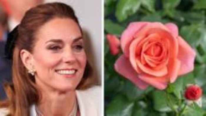 Rose named after Princess of Wales to celebrate 'power of nature'
