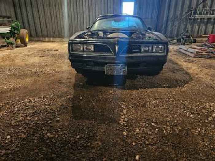 It's Time for This 1978 Trans Am To Get Some Love, Likely Sitting for Too Many Years