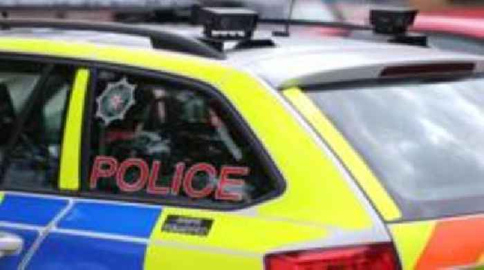 Man arrested in stolen car after police chase