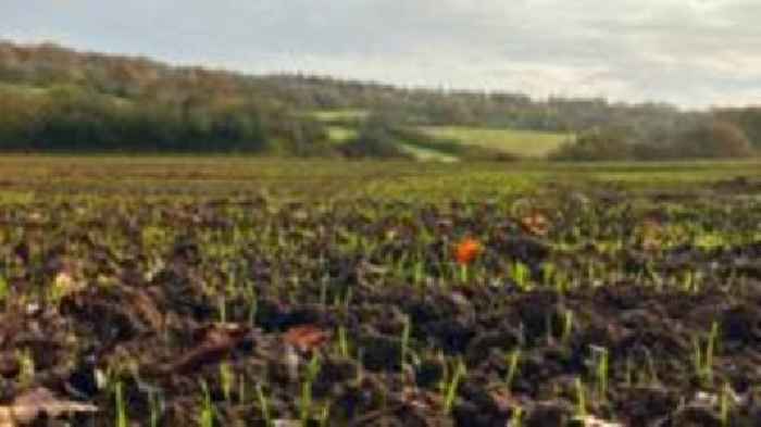 Forest to get first extension in more than 200 years