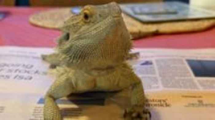 Reptile centre needs new home over growing demand