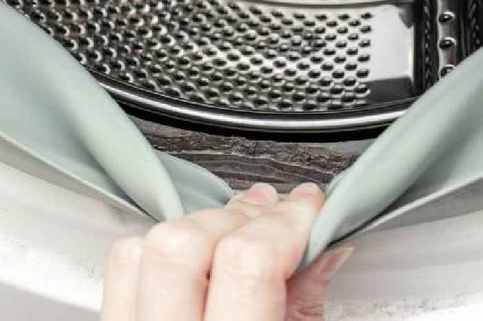 Cleaning expert explains how to keep washing machine seals free from mould