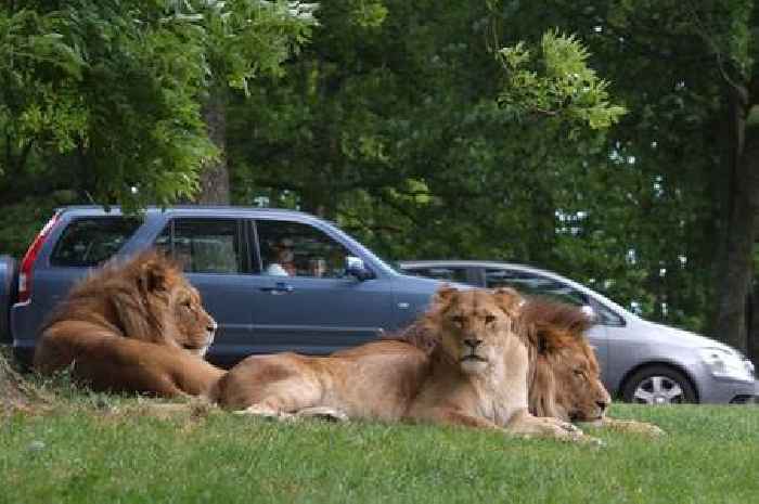 The best-rated wildlife parks near Bristol for a family day out