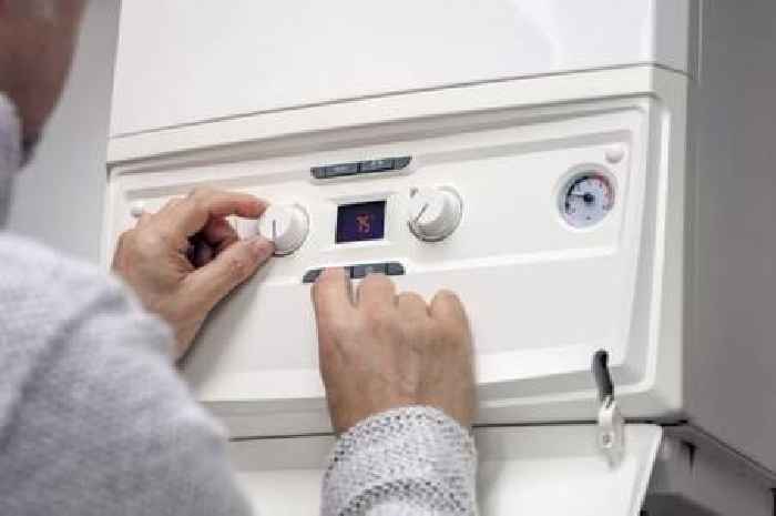 £100 message to British Gas, Octopus, Eon, EDF and OVO customers with a boiler