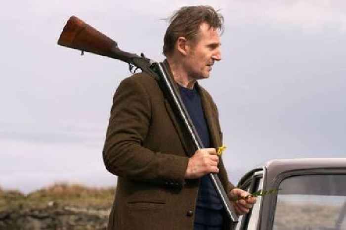 Netflix action movie starring Liam Neeson has fans all saying same thing