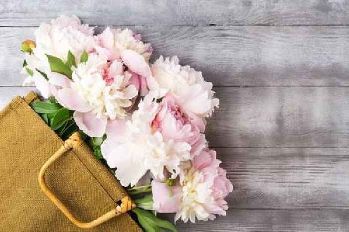 Peonies will last for a 'week or longer' if kept in this place