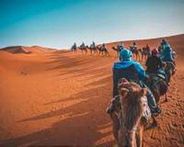 On patrol for jihadists with Mauritania's camel cavalry