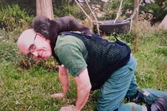 The Bristol zookeeper who has cradled gorillas and has rebuilt a rainforest