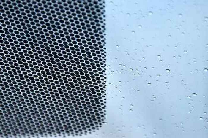 Driver points out what the black dots on the edge of your windscreen are actually for