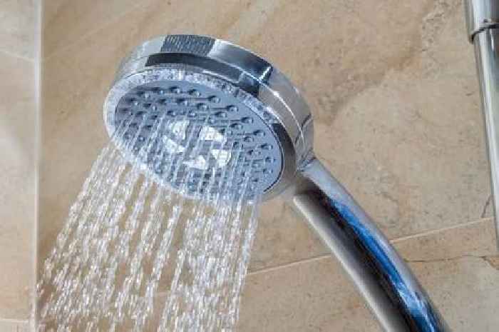 British Gas, Octopus, Eon, EDF and OVO customers told exact time to take showers to save money