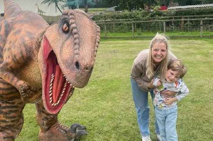 New 'dinosaur playground' coming to Warwick ahead of Jurassic World Rebirth release