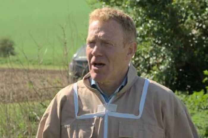 BBC Countryfile's Adam Henson forced to pause segment after bee farm blunder