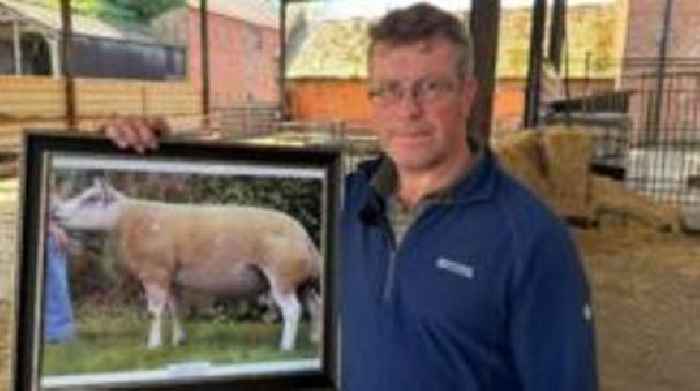 Polluted airport water 'destroyed my unborn lambs'