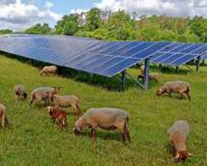 Politecnico di Milano explores global potential of agrivoltaics for land use harmony