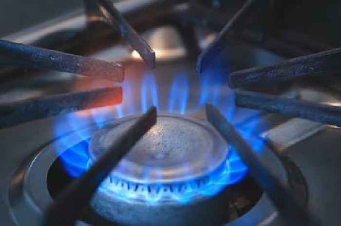 British Gas, Octopus, Eon, EDF and OVO customers told May energy bills secret