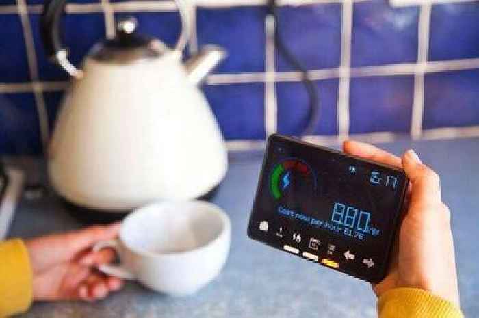 Get £200 from British Gas, Octopus, Eon, EDF and OVO – but customers must act now