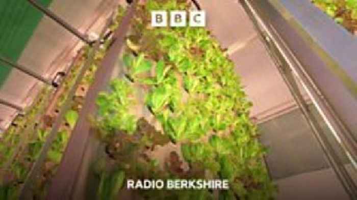 Is Bracknell 'vertical farm' the future of farming?