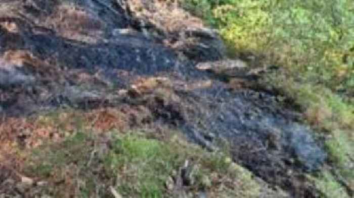 Wildfire warning over BBQs on Lancashire peatland