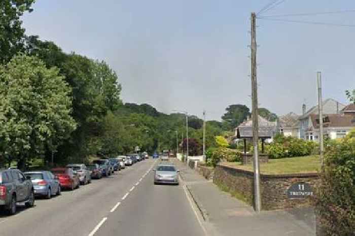 Crash near Newquay Zoo leaves one person seriously injured
