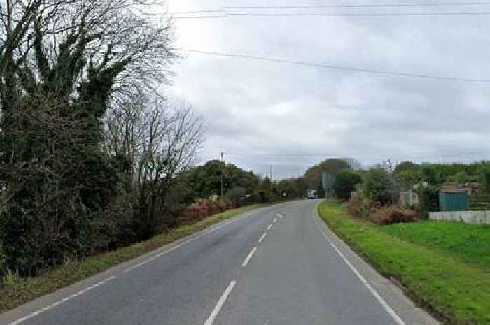 Deer killed in biker crash on A-road