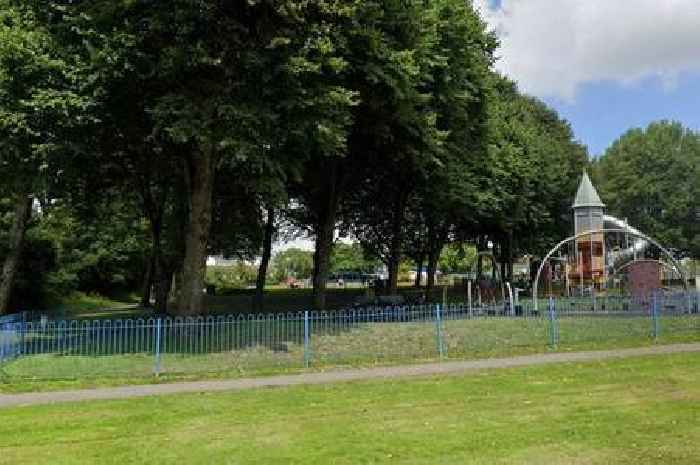 Dog attacked by Staffordshire bull terrier in playground in St Austell