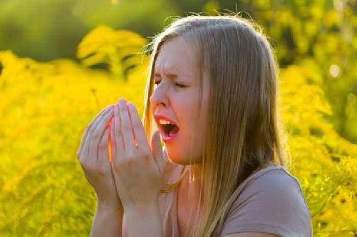 Doctors reveal simple at-home tricks to reduce hay fever symptoms