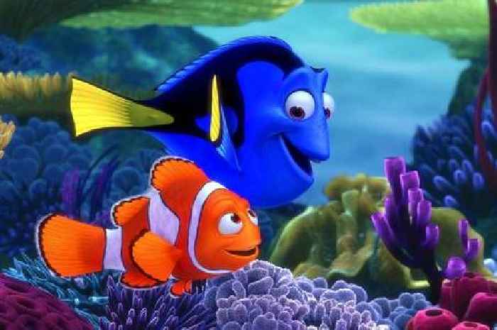 Finding Nemo cast now from quitting fame to huge new role