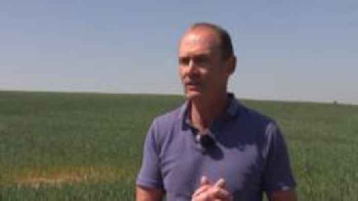 Farmer's yield concerns after no 'meaningful rain'