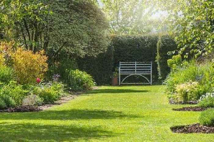 Gardeners urged to 'never' do potentially dangerous six jobs yourself