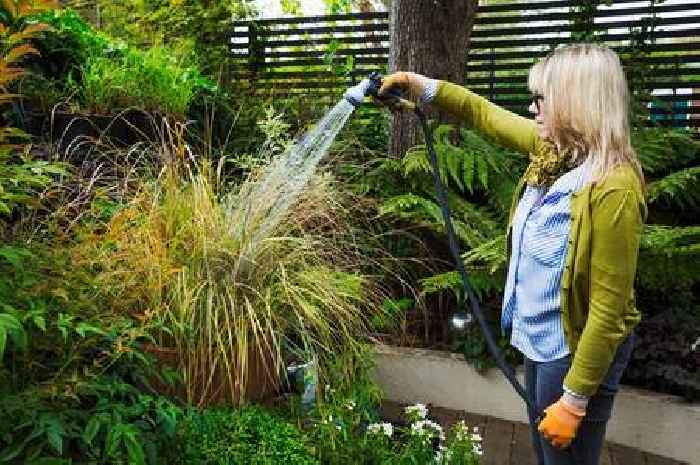 Garden warning issued as millions of homes face hosepipe bans