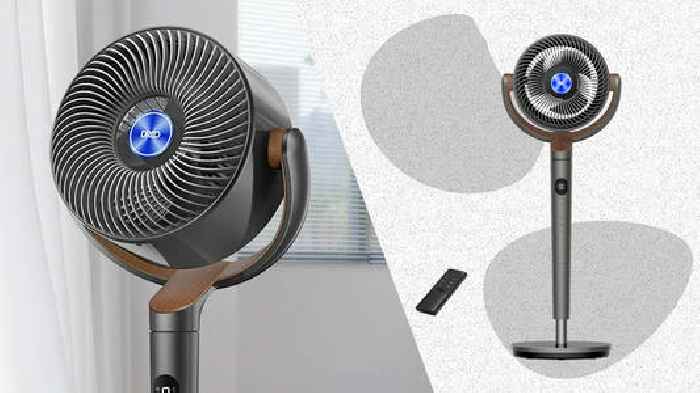 Walmart Is Selling Dreo's 'Powerful' Pedestal Fan for 76% Off, and Shoppers Say It Makes Stuffy Rooms 'Much Cooler'