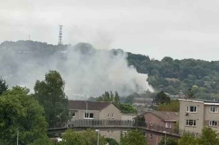Firefighters race to blaze near Edinburgh Zoo
