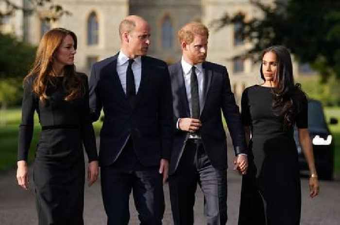 Prince William's controversial TV appearance to upset Meghan and Harry