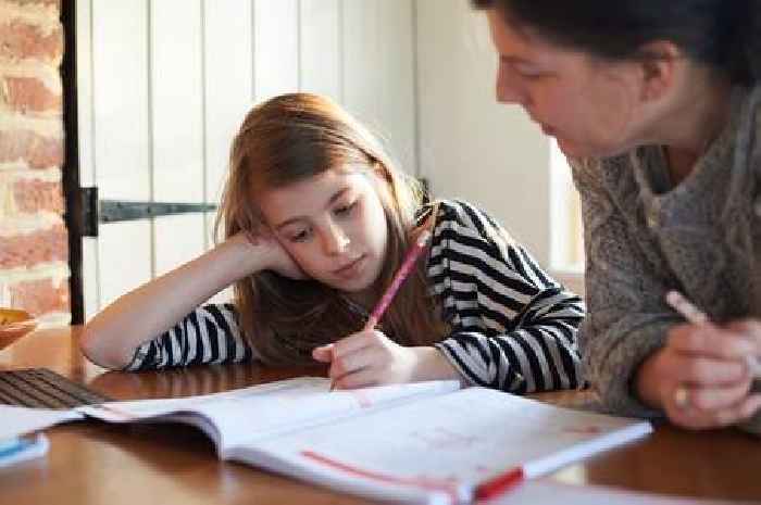 Many hundreds of parents are choosing to home-educate their children in Carmarthenshire