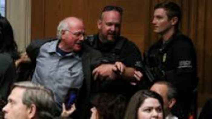 Ben & Jerry's co-founder arrested after Senate Gaza protest
