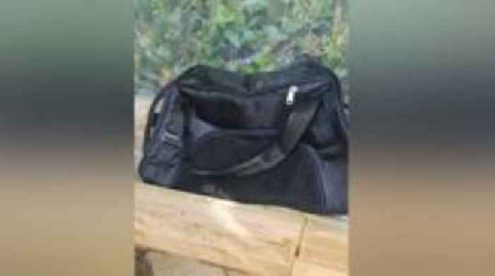 CCTV appeal after kittens found 'mutilated'