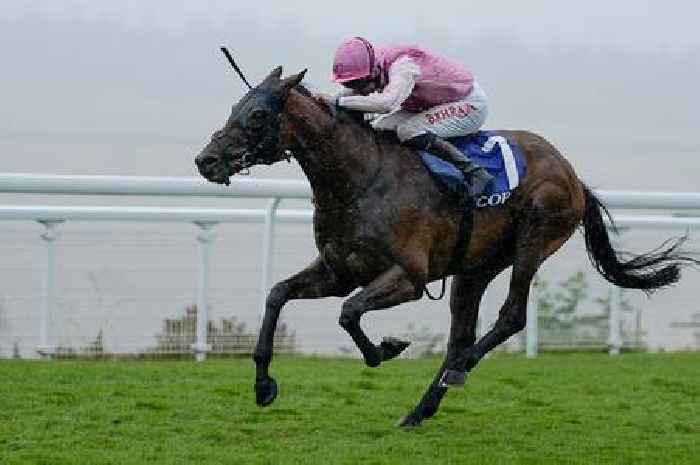 Horse who recovered from broken leg can be star of the show at York