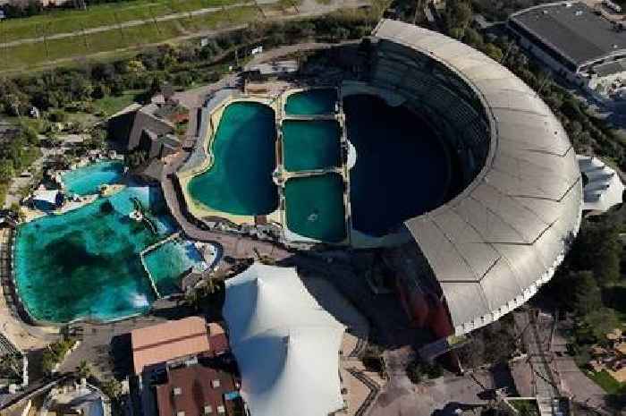 Time running out for Orca whales abandoned in 'frozen in time' theme park