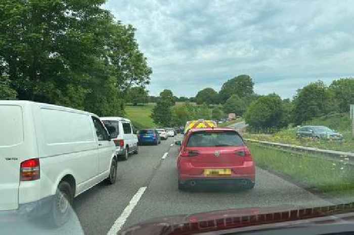 M5 drivers warned as 100,000 head to Devon County Show