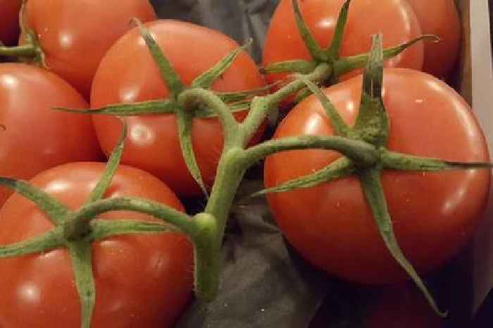 'I'm a gardening expert - this one tip will help tomatoes grow to a larger size'