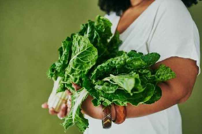 Nutritionist warns again 'dinosaur time' eating of 'powerhouse' food