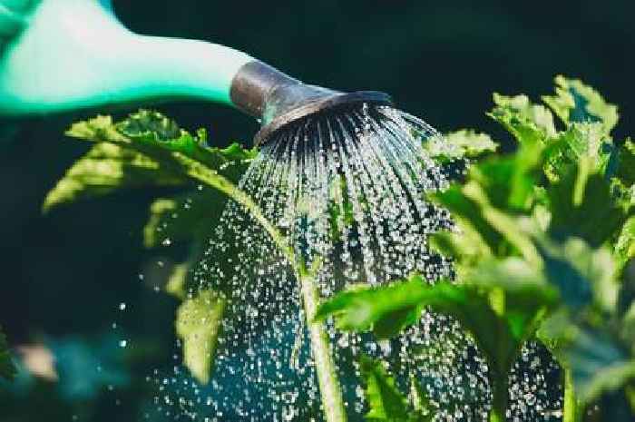 Scottish Water urges Dumfries and Galloway residents to use water efficiently during hot weather