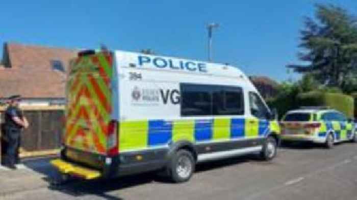 Council investigating after 37 dead dogs found