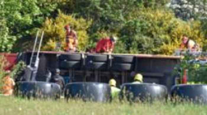 Motorway reopens after cows rescued from overturned lorry