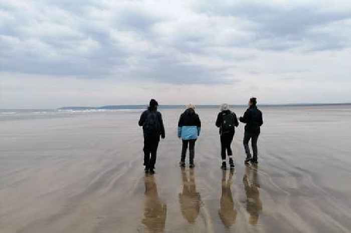 Explore nature and wartime tales with free guided walks at Northam Burrows