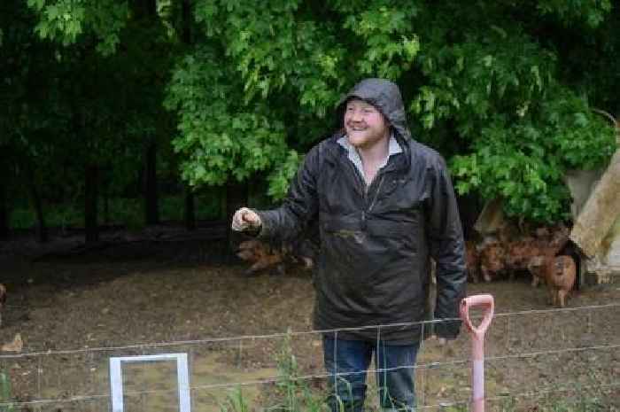 Clarkson's Farm's Kaleb Cooper seen struggling to contain pigs in hilarious season 4 first look