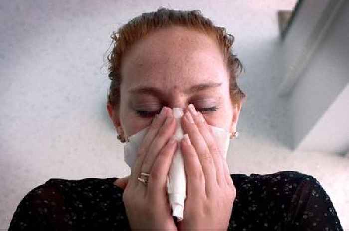 Experts explain why your hay fever is so bad this year