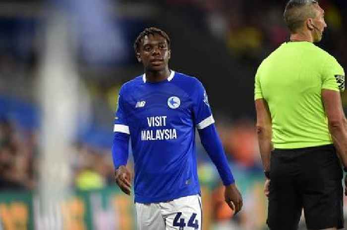 Craig Bellamy handpicks four top Cardiff City talents for Wales duty amid glaring omissions