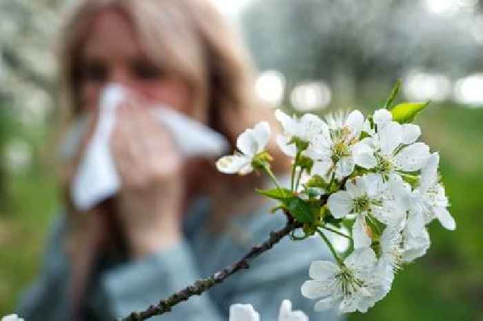 GPs share simple ways to reduce hay fever symptoms at home