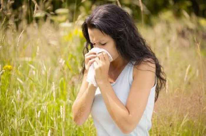 GPs share easy ways to reduce hay fever symptoms at home